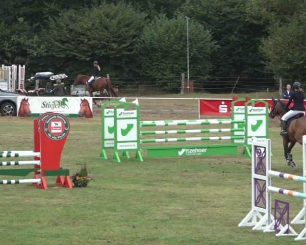 Reitturnier Kellinghusen 2022