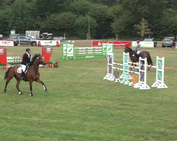 Reitturnier Kellinghusen 2022