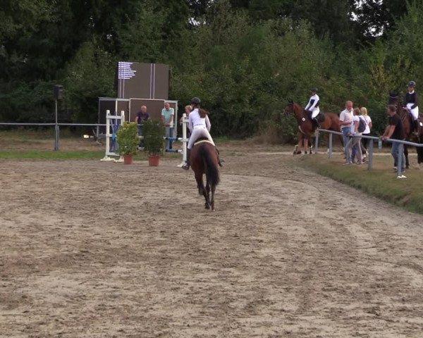 Reitturnier Datteln 2022
