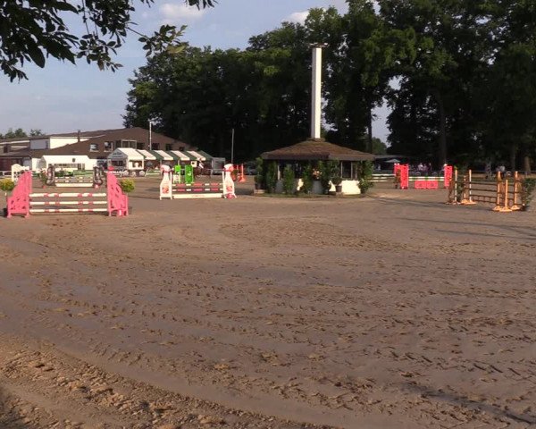 Reitturnier Datteln 2022