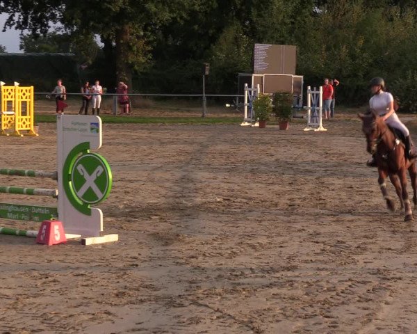 Reitturnier Datteln 2022