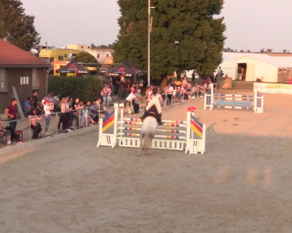 Springreitturnier Hohburg 2021