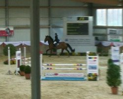 jumper Charly Brown 208 (Holsteiner, 2000, from Corrado I)
