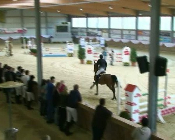 jumper Baijene (Hanoverian, 2004, from Harmony's Baroncelli)