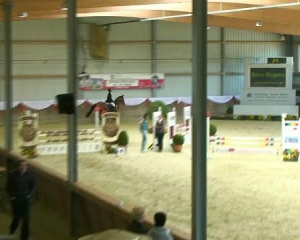 jumper Corinna H (German Riding Pony, 2002, from Notre Beau)