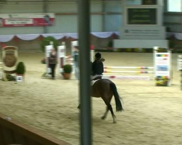 jumper Romeo 700 (Oldenburg, 2000, from Royal Diamond)