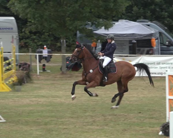 Reitturnier Kellinghusen 2022