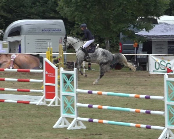 Reitturnier Kellinghusen 2022