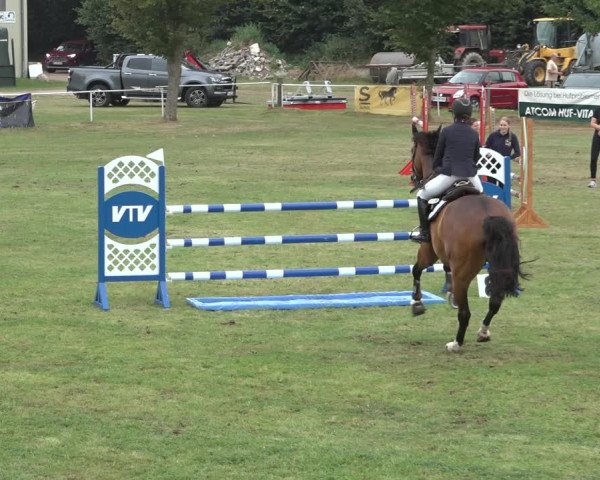 Reitturnier Kellinghusen 2022