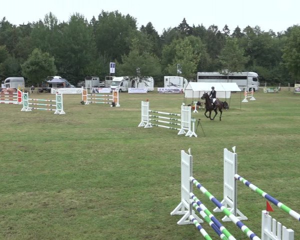 Reitturnier Kellinghusen 2022