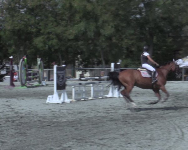 Reitturnier Horitschon 2022