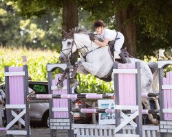 jumper Little Ludwig 6 (Oldenburg, 2010, from Ludwigs As)