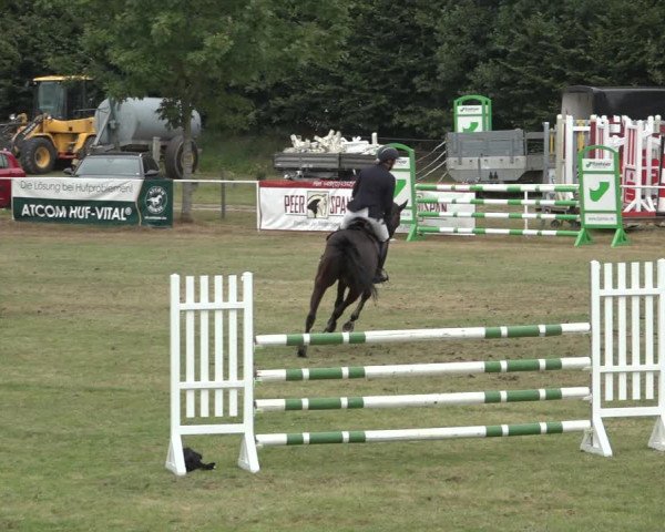 Reitturnier Kellinghusen 2022