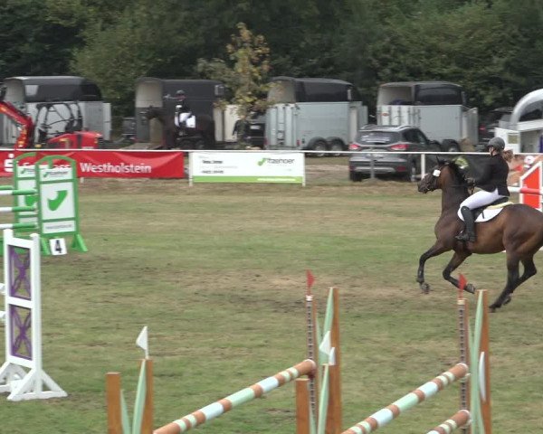 Reitturnier Kellinghusen 2022