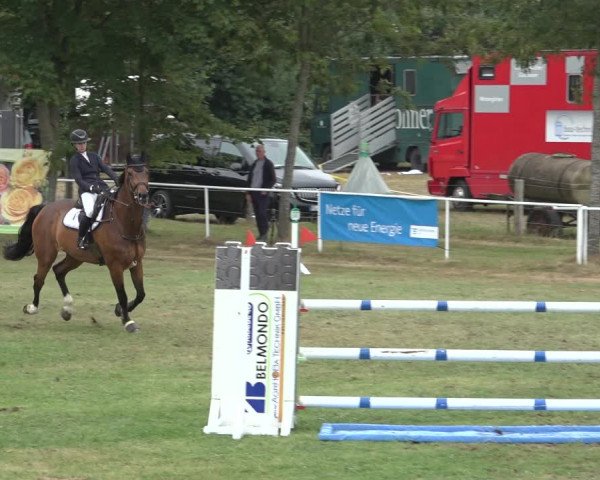 Reitturnier Kellinghusen 2022