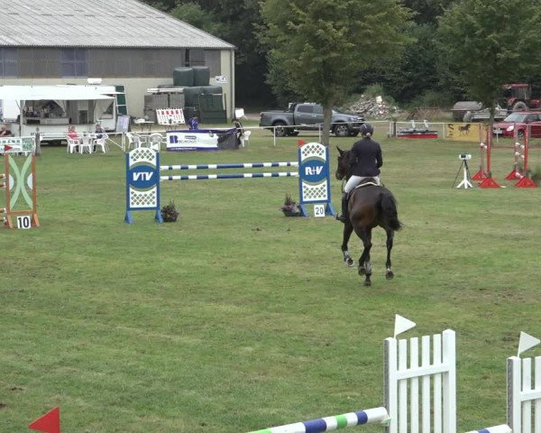 Reitturnier Kellinghusen 2022