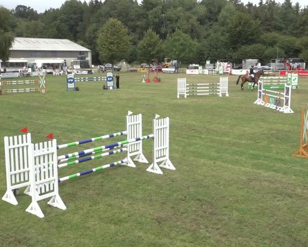 Reitturnier Kellinghusen 2022
