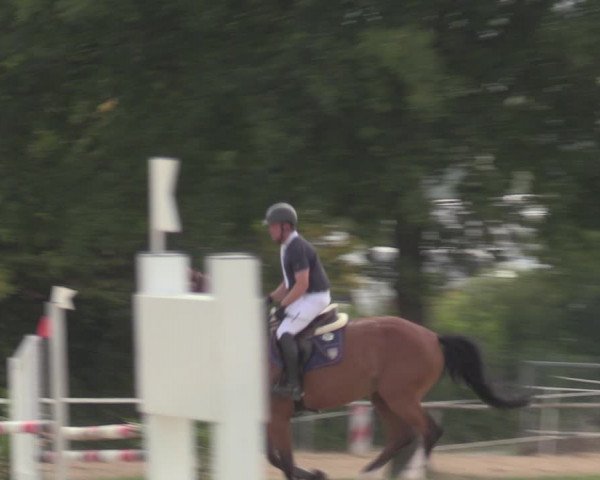 Reitturnier Menden 2022