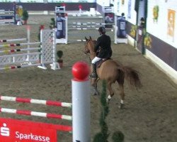Springpferd Leadership (Deutsches Sportpferd, 2005, von Lassini)