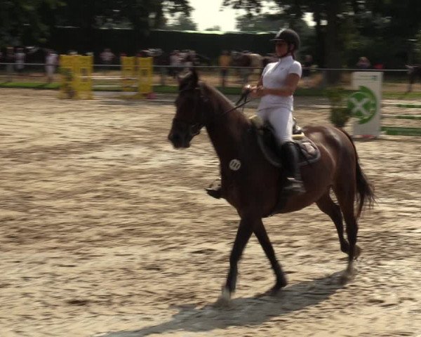 Reitturnier Datteln 2022
