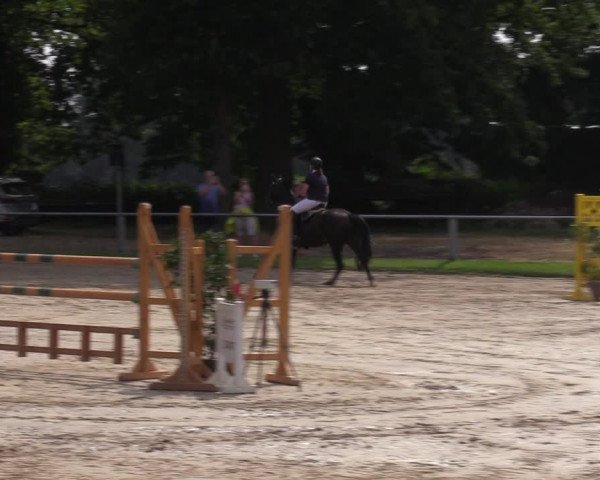 Reitturnier Datteln 2022