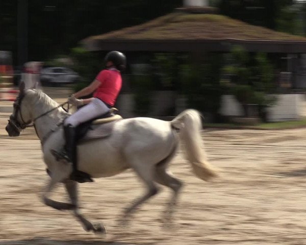 Reitturnier Datteln 2022