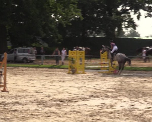 Reitturnier Datteln 2022