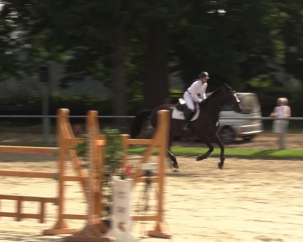 Reitturnier Datteln 2022