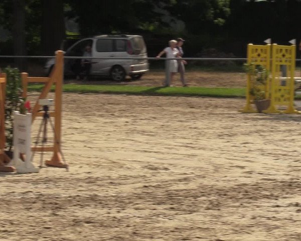 Reitturnier Datteln 2022
