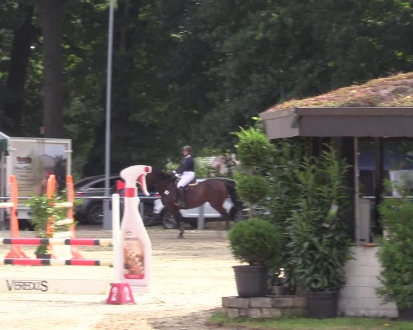 Reitturnier Datteln 2022