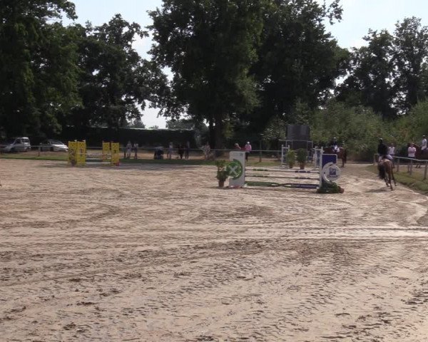Reitturnier Datteln 2022