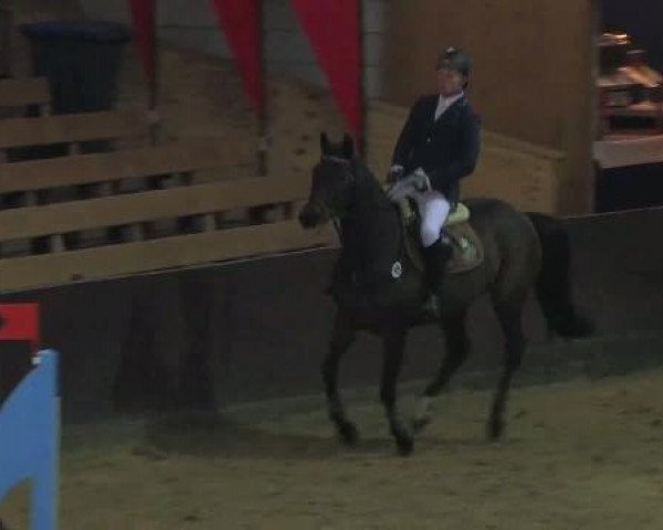 broodmare Heraldin (Saxony-Anhaltiner, 2001, from Heraldik xx)