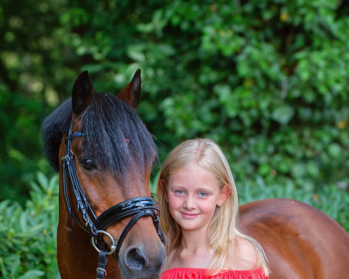 Cavallo da Dressage Geronimo 735 (Pony senza indicazione di razza, 2005, di Unbekannt Pony)