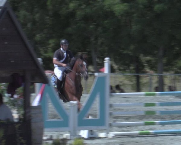 Reitturnier Horitschon 2022