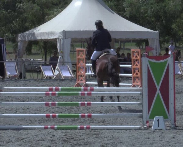 Reitturnier Horitschon 2022
