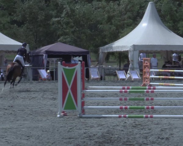 Reitturnier Horitschon 2022