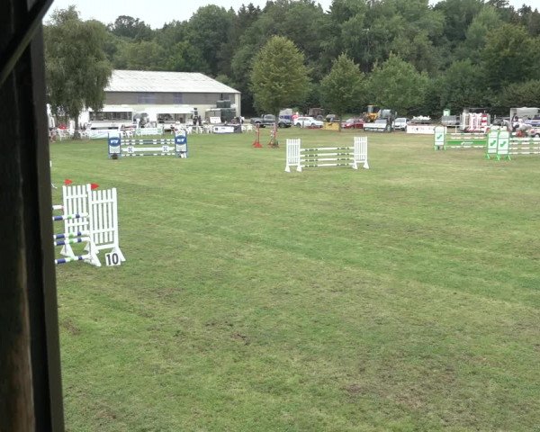 Reitturnier Kellinghusen 2022