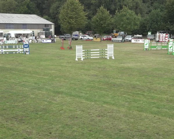 Reitturnier Kellinghusen 2022