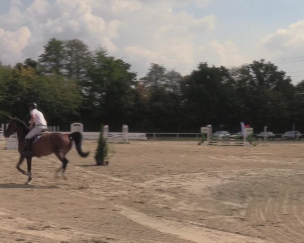 Reitturnier Menden 2022