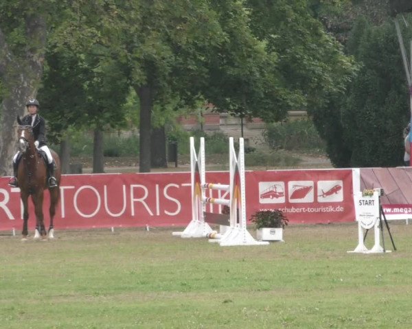 Reitturnier Aschersleben 2022