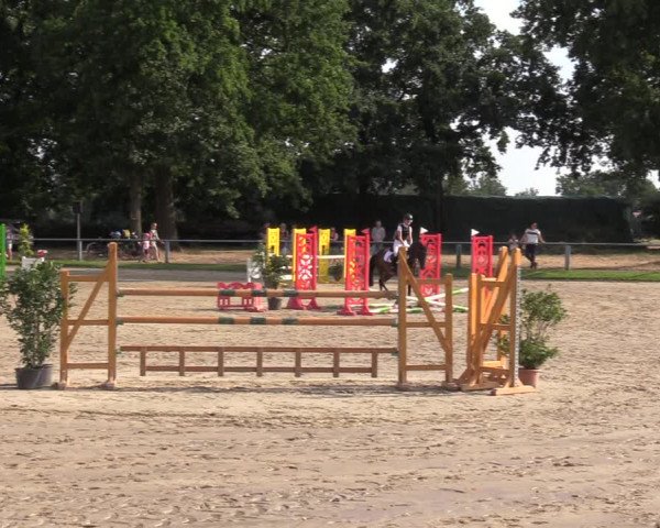 Reitturnier Datteln 2022