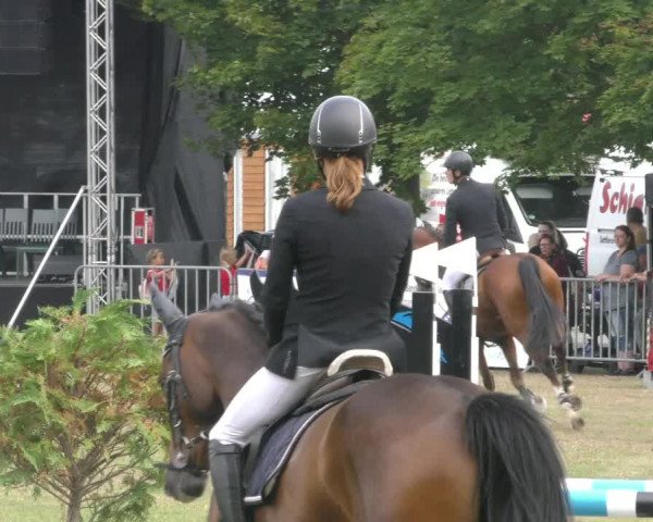 Reitturnier Aschersleben 2022