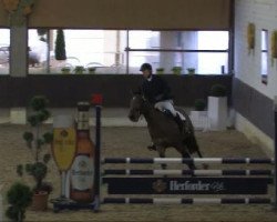 jumper Loredana 24 (Oldenburg, 2007, from Lordanos)