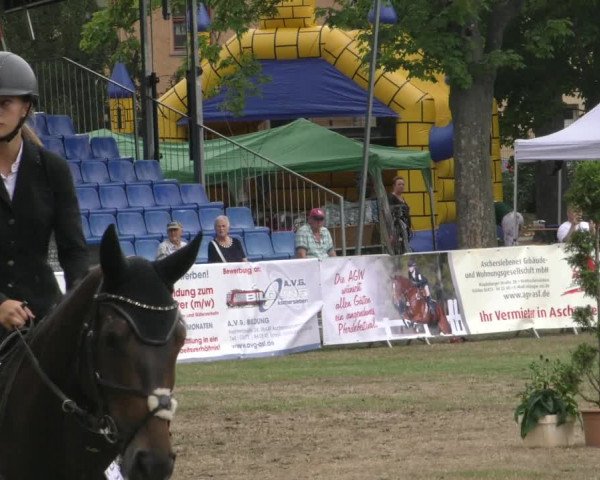 Reitturnier Aschersleben 2022