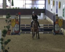 jumper Flying Camel (Westphalian, 2007, from Flamur)
