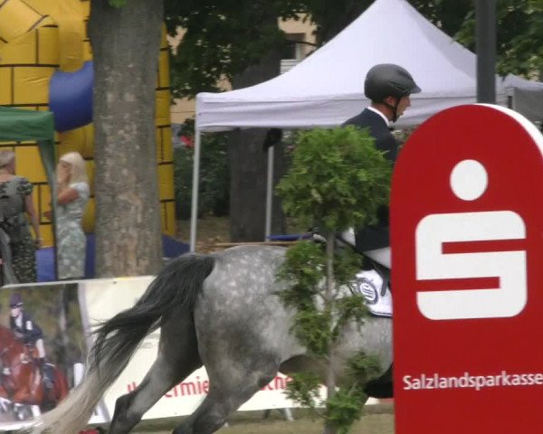 Reitturnier Aschersleben 2022
