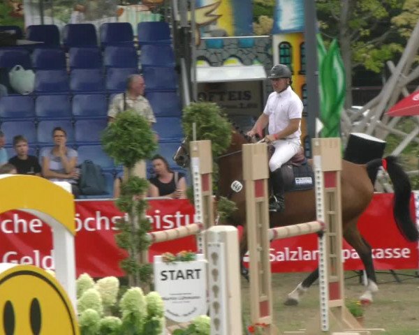 Reitturnier Aschersleben 2022