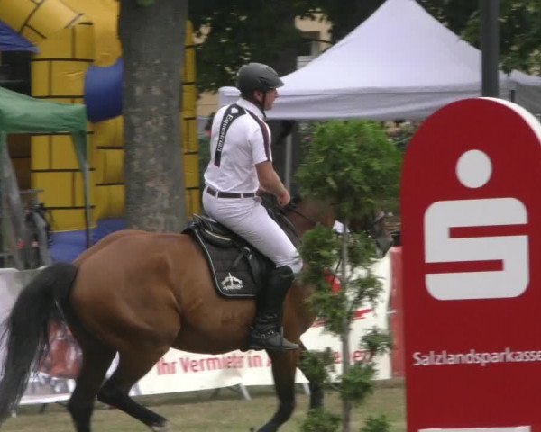 Reitturnier Aschersleben 2022