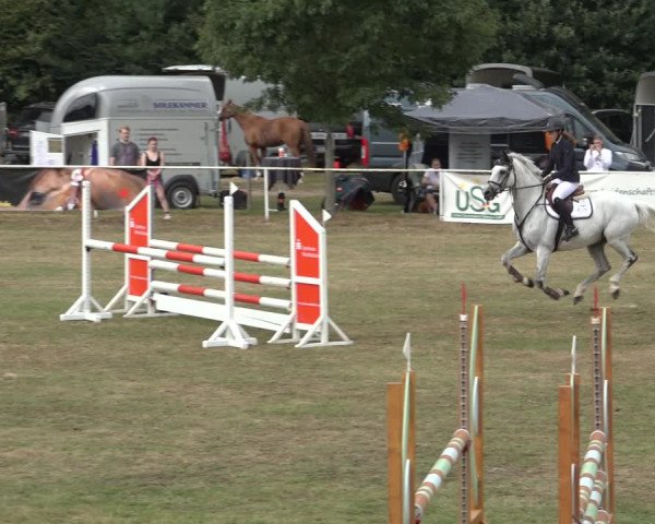 Reitturnier Kellinghusen 2022