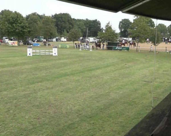 Reitturnier Kellinghusen 2022